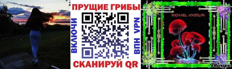 Псилоцибиновые грибы Cubensis  Волжский 